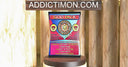 God Box — 10 God Packs (At Least 2 × 1st Edition Holos Guaranteed) — sealed vintage WOTC Pokémon mystery pack, NM–Mint